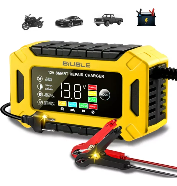 12V Cargador Rápido Inteligente